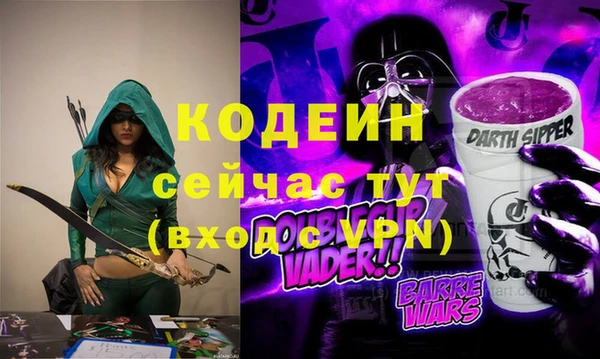 хмурый Вяземский
