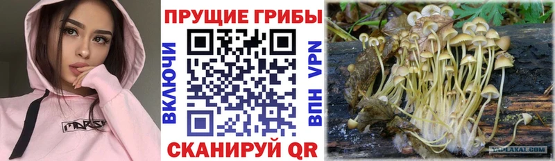 Псилоцибиновые грибы прущие грибы Купить где Нягань